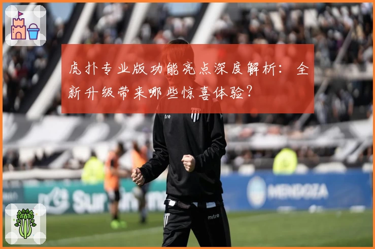 虎扑专业版功能亮点深度解析：全新升级带来哪些惊喜体验？