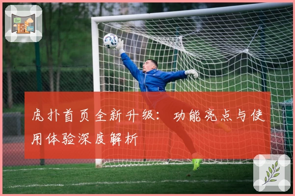 虎扑首页全新升级：功能亮点与使用体验深度解析